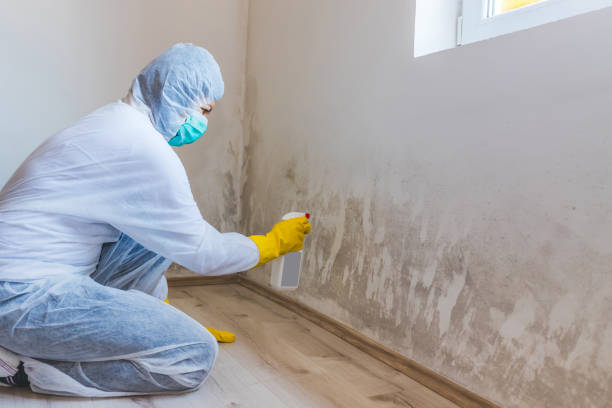 Crawl Space Mold Remediation treatment of floor joists in Lafayette